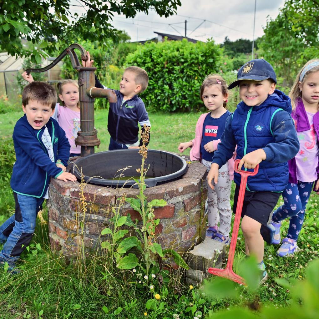 Einmal pro Woche sind die Kinder im Naschgarten und verfolgen, was sich tut.