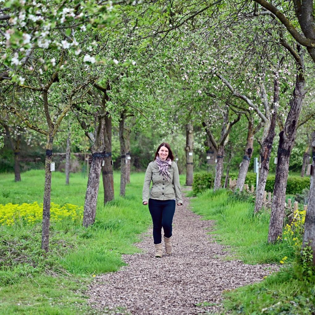 Wer auf dem Hülser Berg spazieren geht, hat jahrtausende alte geologische Geschichte unter den Füßen.