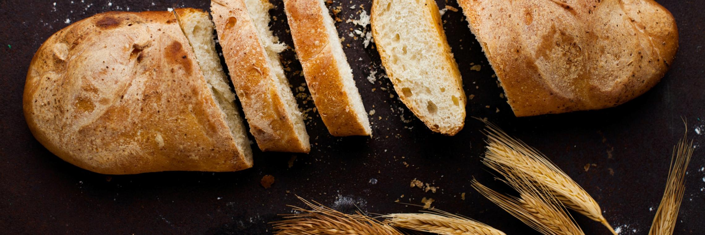 Herzlich willkommen auf der Homepage der Initiative das tägliche Brot !