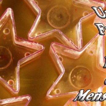 Sternenkerzen mit Text: 'Und Frieden auf Erden den Menschen!'