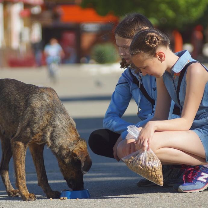 Zwei Mädchen knien draußen auf einem Platz. Ein Hund steht vor ihnen und frisst aus einem blauen Napf. Ein Mädchen hält eine Tüte mit Hundefutter in der Hand. Die Mädchen schauen den Hund ruhig an. Im Hintergrund sind Menschen und Bäume .