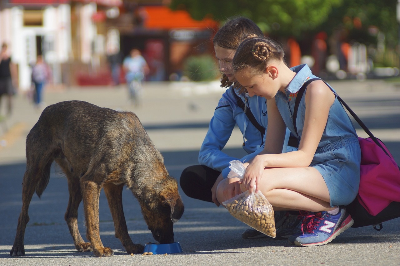 Zwei Mädchen knien draußen auf einem Platz. Ein Hund steht vor ihnen und frisst aus einem blauen Napf. Ein Mädchen hält eine Tüte mit Hundefutter in der Hand. Die Mädchen schauen den Hund ruhig an. Im Hintergrund sind Menschen und Bäume .