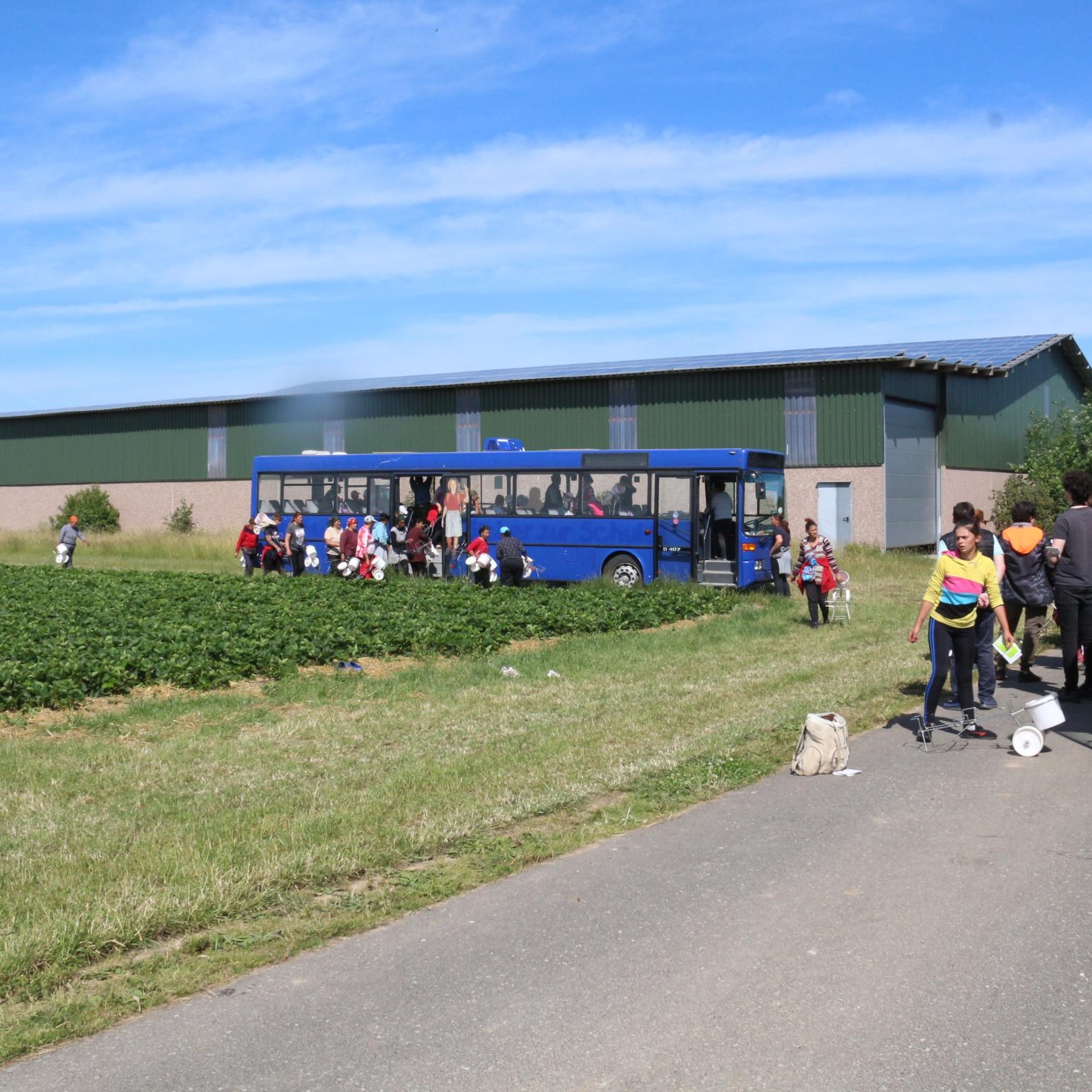 Im Gespräch mit Erntearbeitern im Kreis Heinsberg