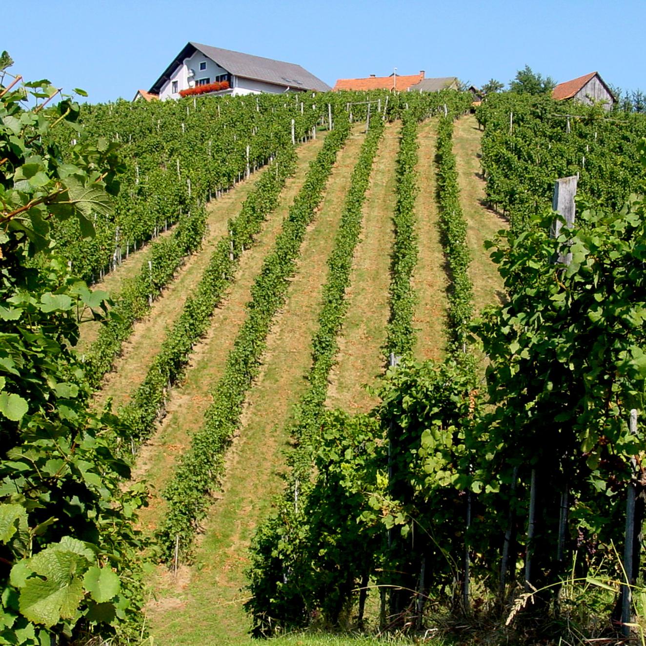 Weinberg