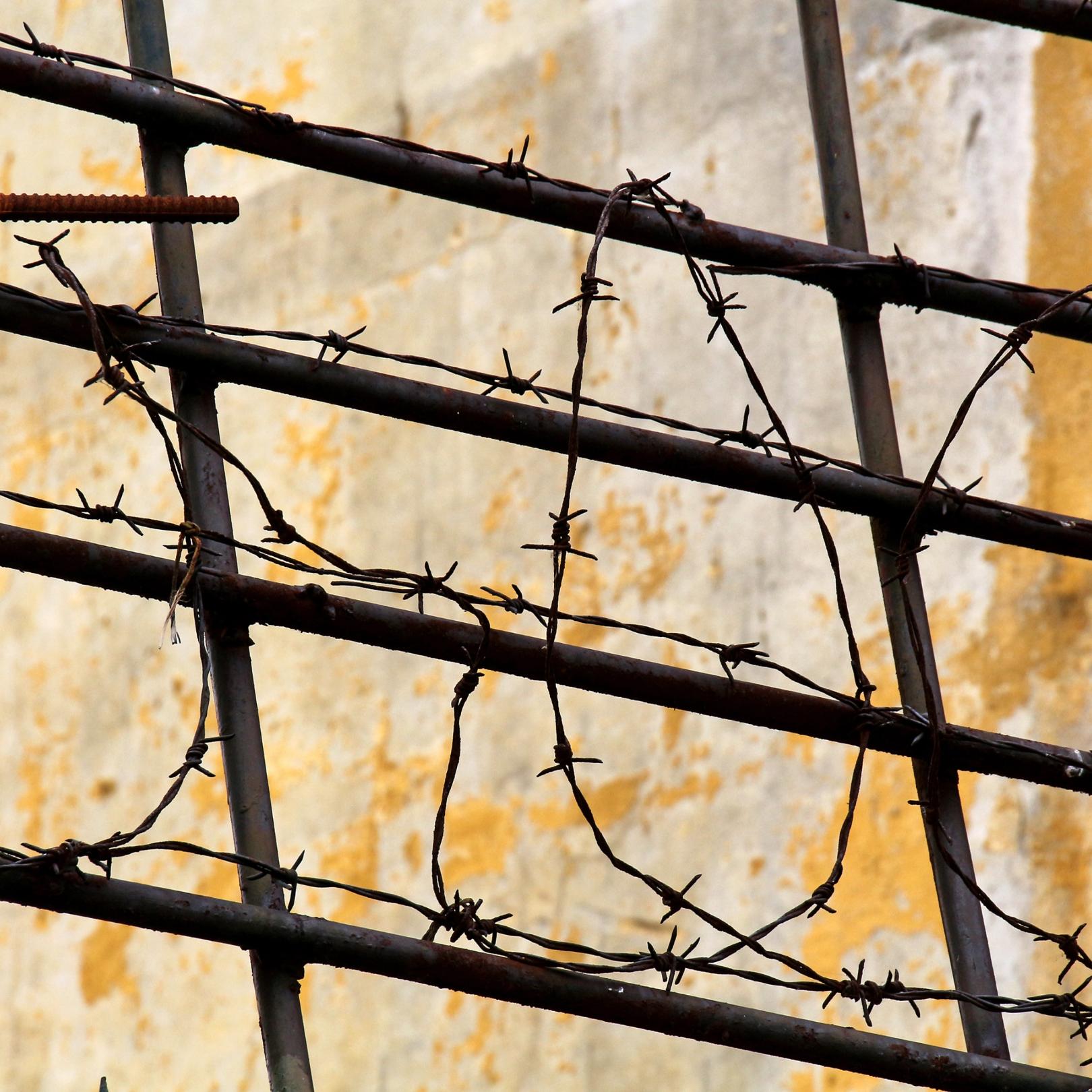 Gitter und Stacheldraht